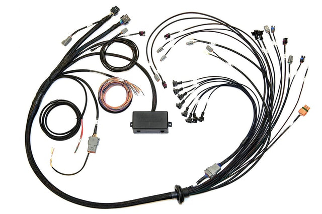 Haltech Elite 2500/2500 T V8 GM, Ford & Chrysler Term Harn Only EV1 HT-141376