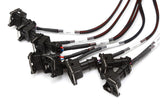 Haltech Elite 2500/2500 T V8 GM, Ford & Chrysler Term Harn Only EV1 HT-141376