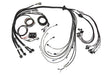 Haltech Elite 2500 & REM 16 Inj V8 Small/Big Block GM, Ford & Chrysler Terminated Harness