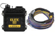 Haltech Elite 550 + Basic Universal Wire-in Harness Kit Length: 2.5m (8') - HT-150402 HT--150402