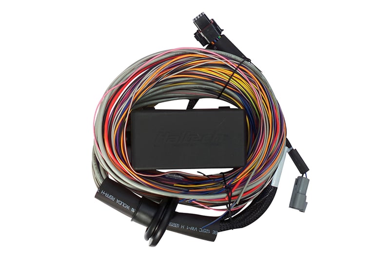 Haltech Elite 550 + Premium Universal Wire-in Harness Kit