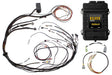 Haltech Elite 1500 Mazda 13B S4/5 Term Harn Kit - Fly lead ign harn HT-150975