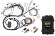 Haltech RB Terminated Harness Base Kit, Elite 2500 ECU, ATS, CTS HT-151306