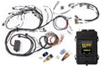 Haltech RB Twin CAM Elite 2500 ECU, Main Harness, CAS Breakout, Late HT-151309