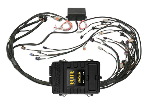 Haltech Elite 2500 GM GEN III LS1 non DBW Terminated Harness Kit EV1 HT-151360