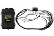 Haltech Elite 2500 GM GEN III LS1 (DBW Ready) Term Harn Kit - EV1 HT-151362