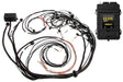 Haltech Elite 2500 - Ford Falcon BA/BF Barra Terminated Harness kit HT-151368