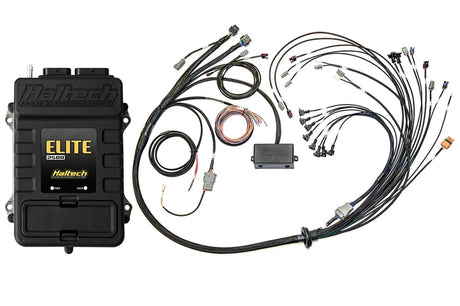 Haltech Elite 2500 V8 Big & Small Block Terminated Harn Kit - EV1 HT-151376