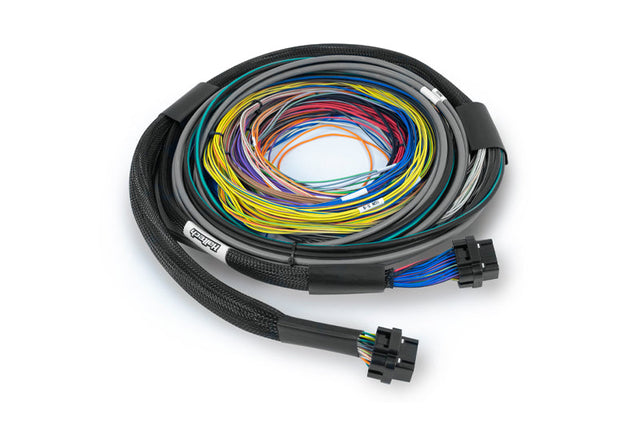 Haltech Nexus S3/S2 Universal Wire-In Harness - 2.5M (8') - HT-182200 HT-182200