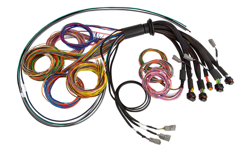 Haltech Nexus R5 Basic Universal Wire-In harness - 2.5M (8') HT-185200