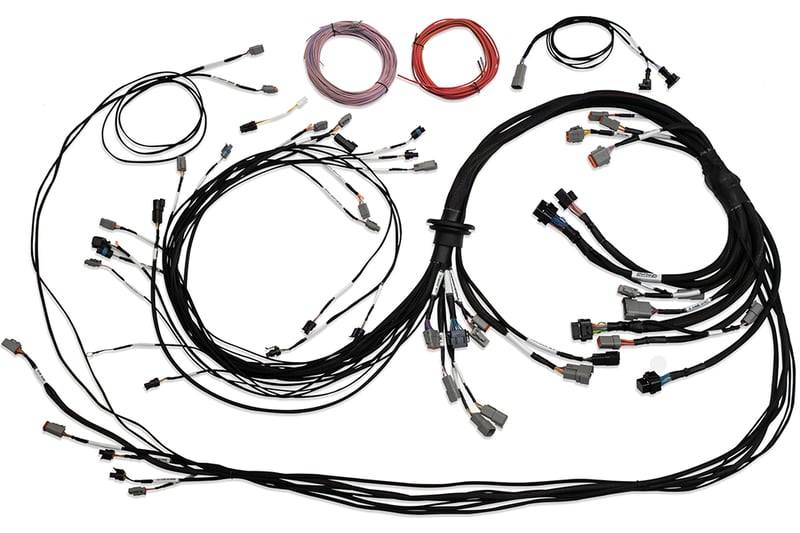 Haltech Universal V8 Terminated Engine Harness for Nexus R5 VCU - HT-186200