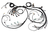 Haltech Nexus R5 LSx DBW Terminated Harness - HT-186205