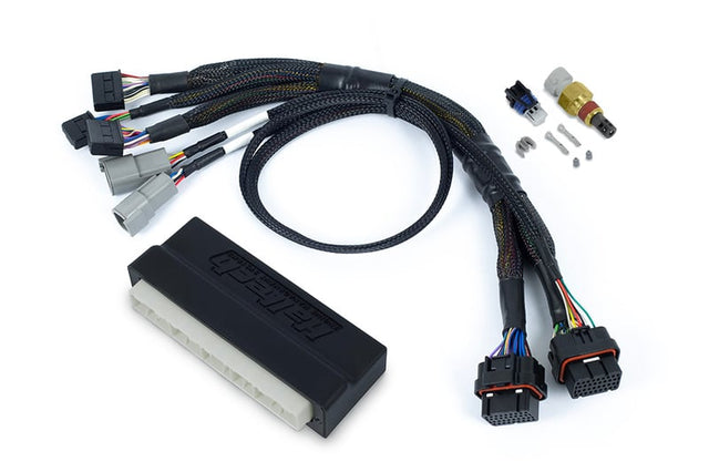 Haltech Nexus S2/S3 Plug 'n' Play Adapter Harness - Honda DC5 - HT-186342 HT-186342