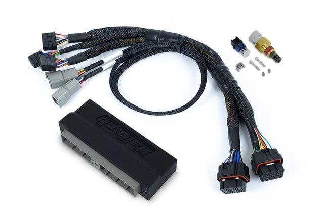 Haltech Nexus S3 Plug 'n' Play Adapter Harness - Nissan Skyline R34 GT-T - HT-186363 HT-186363