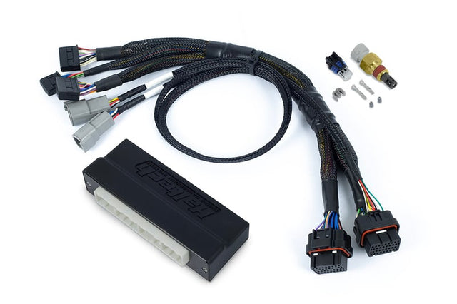 Haltech Nexus S3 Subaru WRX MY06-10 Plug 'n' Play Adaptor Harness - HT-186370 HT-186370