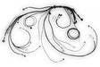 Haltech Nexus Rebel LS Terminated Harness for Nexus Rebel LS ECU - HT-186500 HT-186500