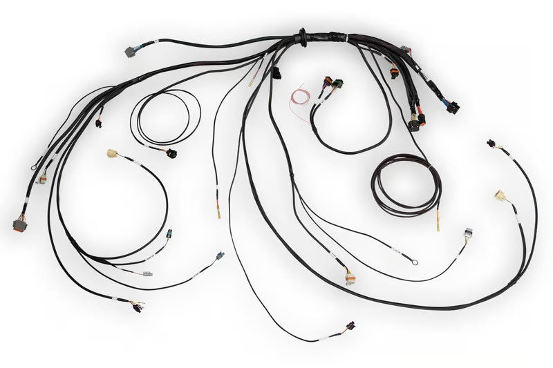 Haltech Nexus Rebel LS Terminated Harness for Nexus Rebel LS ECU - HT-186500 HT-186500