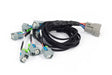 Haltech Nexus Rebel LS - LS EV6 Injector Sub-Harness - HT-186502 HT-186502