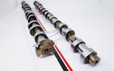 Kelford Cams 288/268 | Stage 1 BMW M Series - 358-A