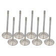 Proflow Maxflow Valves, Holden SuperMax Heads, Intake, Stainless Steel, 2.050in. Diameter, 8mm Stem, 5.400 in. Length, Set of 8 - PFE-CHV205-HOL PFE-CHV205-HOL