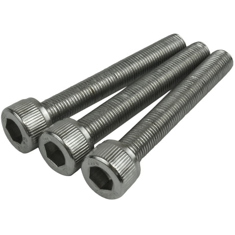Proflow Bolt Kit, Stainless Steel 5/16in. x 30mm UNC, Gilmer Drive Water Pump Pulley - PFEGKSBKIT3 PFEGKSBKIT3