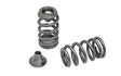 Kelford Cams Rotax 900 ACE | Beehive Valve Spring Set - KVS236-BT