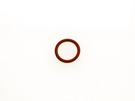 Turbosmart WG Valve Guide ‘O’ Ring - TS-0501-3004