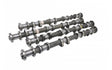 Kelford Cams 300-290/288 | VK56DE - 237-C