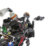Holley 558-108 Ford 2V and 4V Modular Main Harness