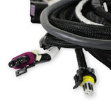 Holley 558-111 Main Engine Harness for 24x LS w/ TBI