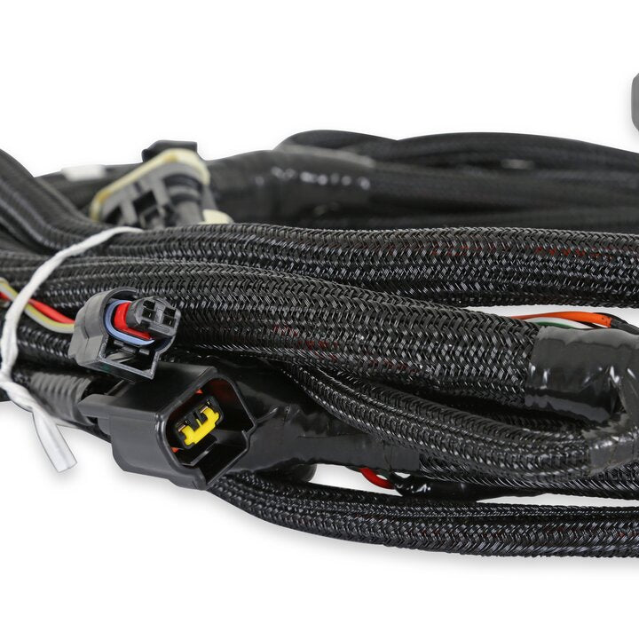 Holley 558-124 EFI Ford Coyote Ti-VCT Sub Harness (2011-2012)