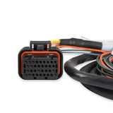 Holley 558-401 Dominator EFI Auxiliary Harness