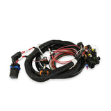 Holley 558-414 Terminator Main Harness