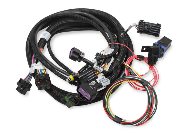Holley 558-121 Terminator Stealth 2x4 Main Harness