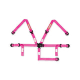 Racequip Youth Latch & Link 5 Point Racing Harness Set - 709089RQP