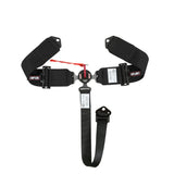 Simpson 3" Camlock Harness - 29110BKL1X
