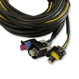 Holley 558-436 Digital Dash Vehicle Harness - Terminated