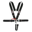 Simpson 3" Camlock Harness - 29110BKL1X