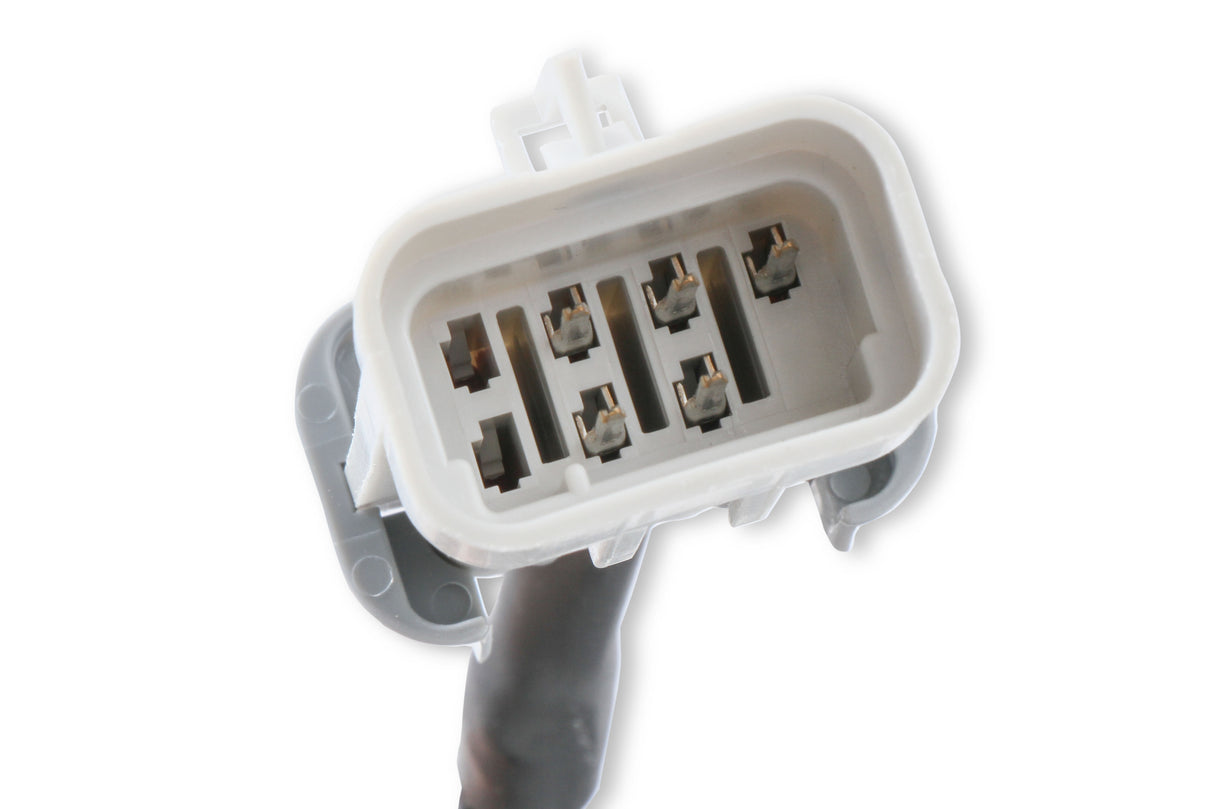 MSD EFI And LS Harness - Pro 600 - 80002