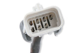 MSD EFI And LS Harness - Pro 600 - 80002