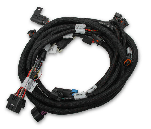 Holley 558-125 EFI Ford Coyote Ti-VCT Sub Harness (2013-2017)