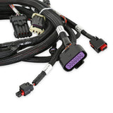 Holley 558-124 EFI Ford Coyote Ti-VCT Sub Harness (2011-2012)