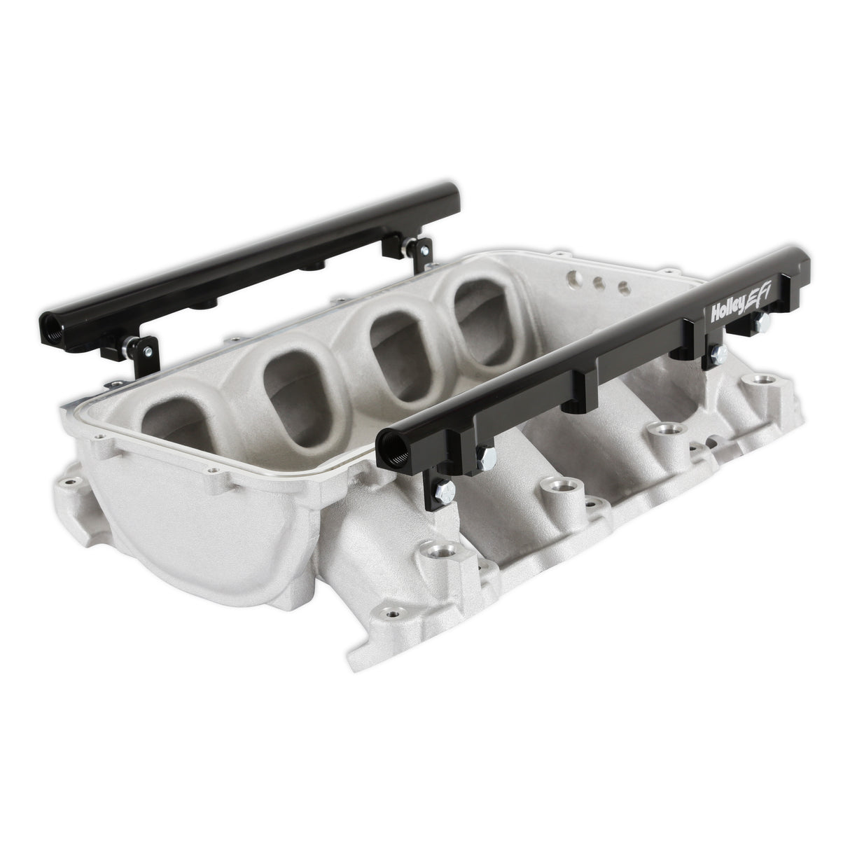 Holley 300-711 Lo-Ram Manifold Base and Port Injection Fuel Rails - GM Gen V LT