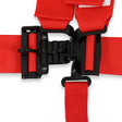 Racequip Latch & Link 5 Point Harness Set - 711011RQP