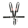 Racequip 5 Point Harness - Small Buckle Ratcheting Latch & Link - HNR shoulders - 815005RQP