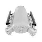 Holley 300-718 Lo-Ram Manifold Kit and Port Injection Fuel Rails - GM Gen V LT