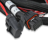 Holley 558-455 EFI Transmission Control Harness - 2009+ GM 4L60