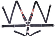 Racequip Camlock 6 Point HANS Harness Set - 747007RQP
