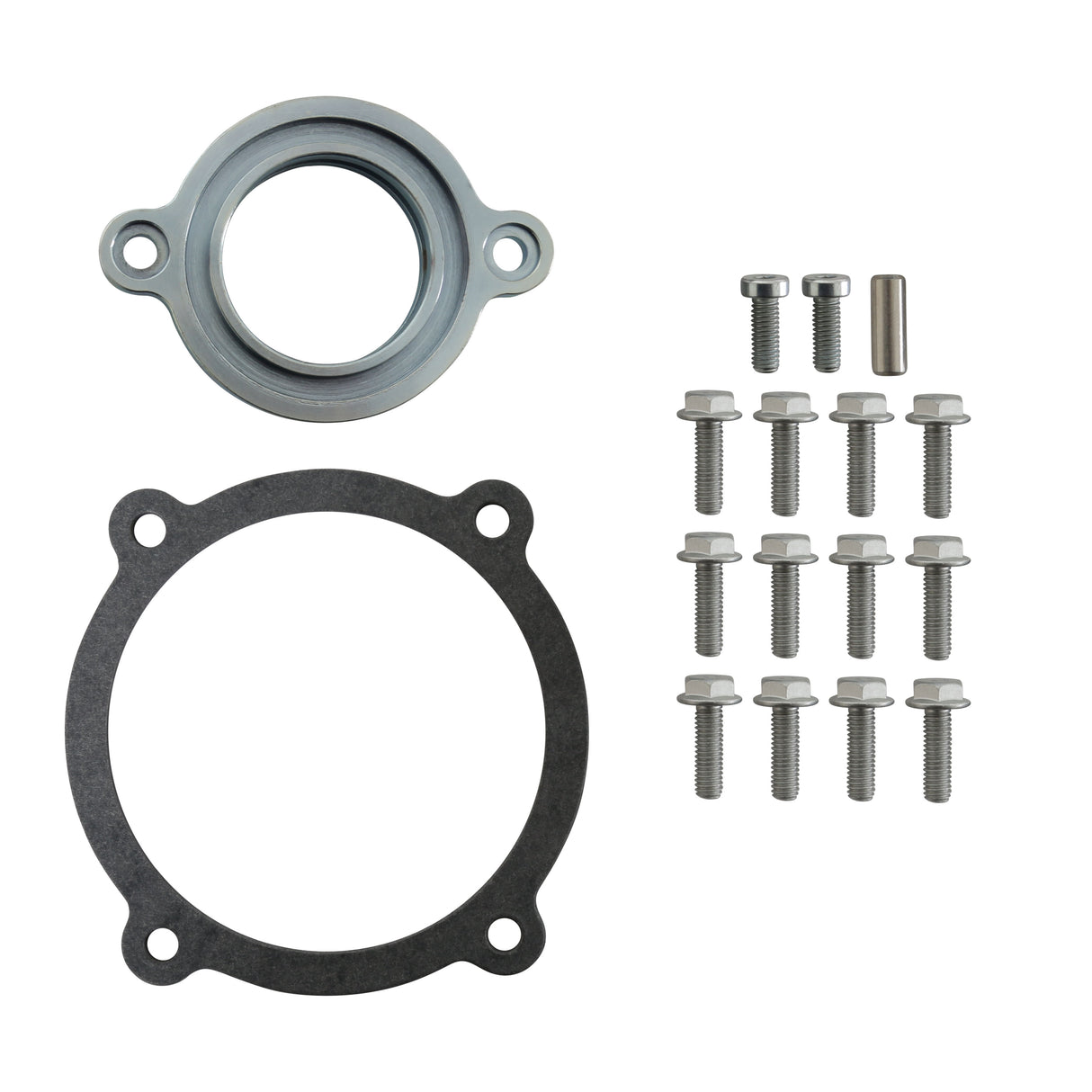 Holley EFI Holley O-ring and Hardware Kit for Ford 7.3L Godzilla - 300-905