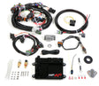 Holley 550-604 HP EFI ECU & Harness Kits